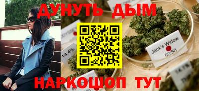 крисы Коммунар