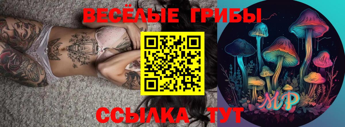 Галлюциногенные грибы Psilocybine cubensis  Вход с VPN  Тулун 
