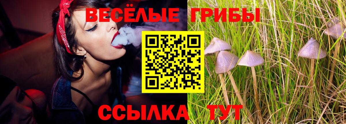 Галлюциногенные грибы GOLDEN TEACHER Тулун
